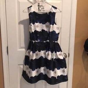 Blue and White floral dress